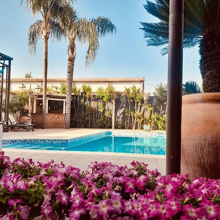 Sofi House-Appartamento In Villa Con Piscina 斯卡法蒂 外观 照片
