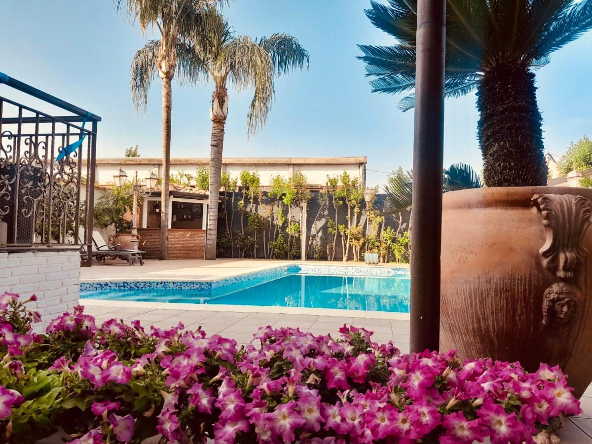 Sofi House-Appartamento In Villa Con Piscina 斯卡法蒂 外观 照片