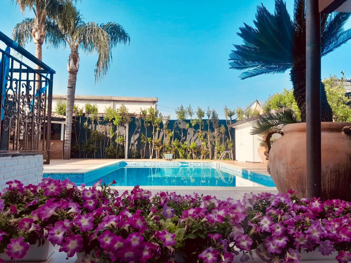 Sofi House-Appartamento In Villa Con Piscina 斯卡法蒂 外观 照片
